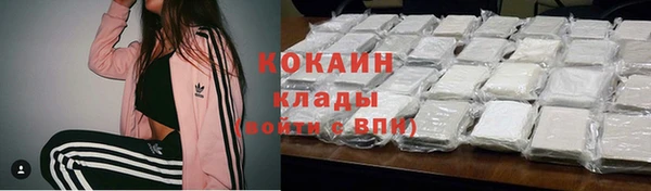 apvp Магас