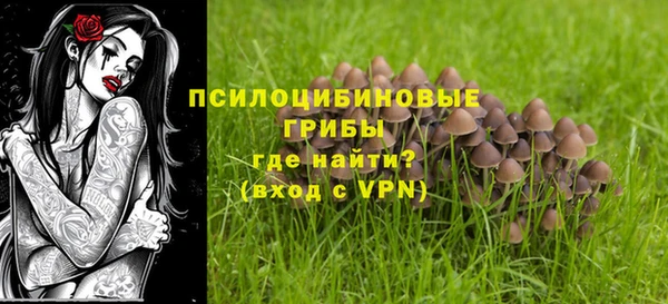 apvp Магас