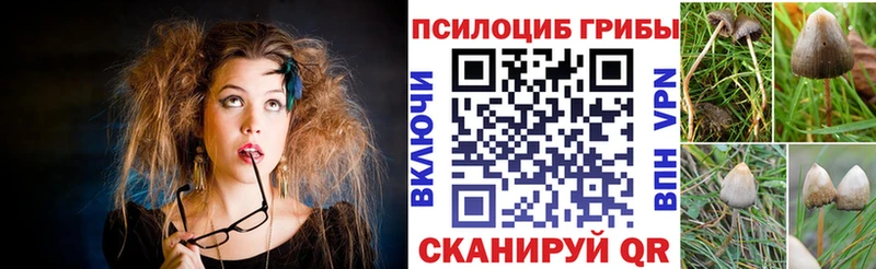 Псилоцибиновые грибы прущие грибы  площадка формула  Медногорск 