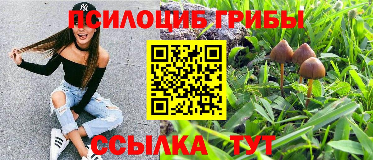 Галлюциногенные грибы GOLDEN TEACHER Медногорск