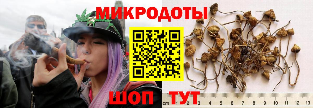 Псилоцибиновые грибы Magic Shrooms  Медногорск 